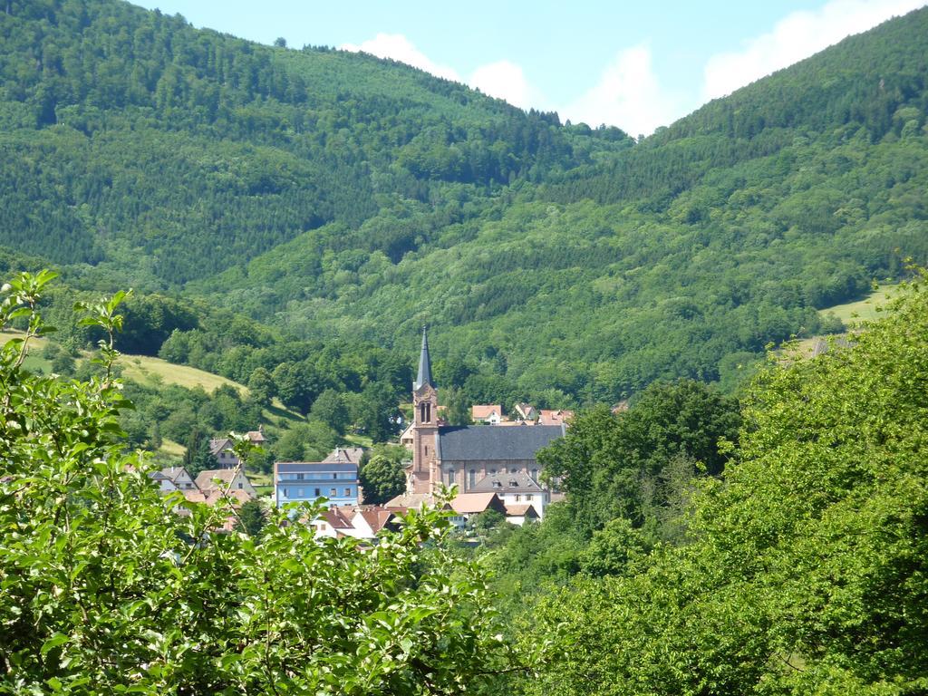 Gite Schlitteur Et Sapiniere Breitenbach Exterior foto