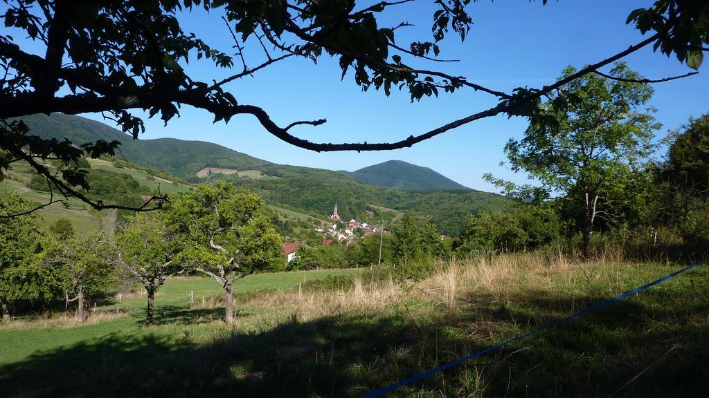 Gite Schlitteur Et Sapiniere Breitenbach Exterior foto