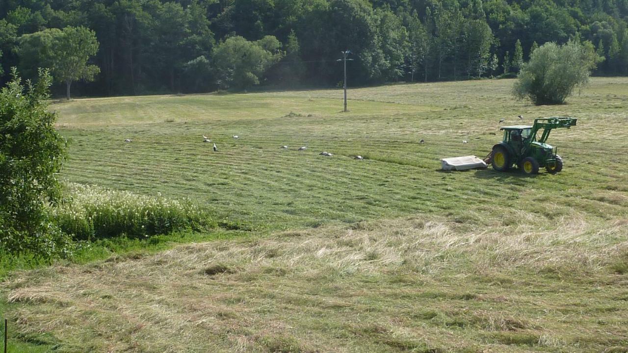 Gite Schlitteur Et Sapiniere Breitenbach Exterior foto
