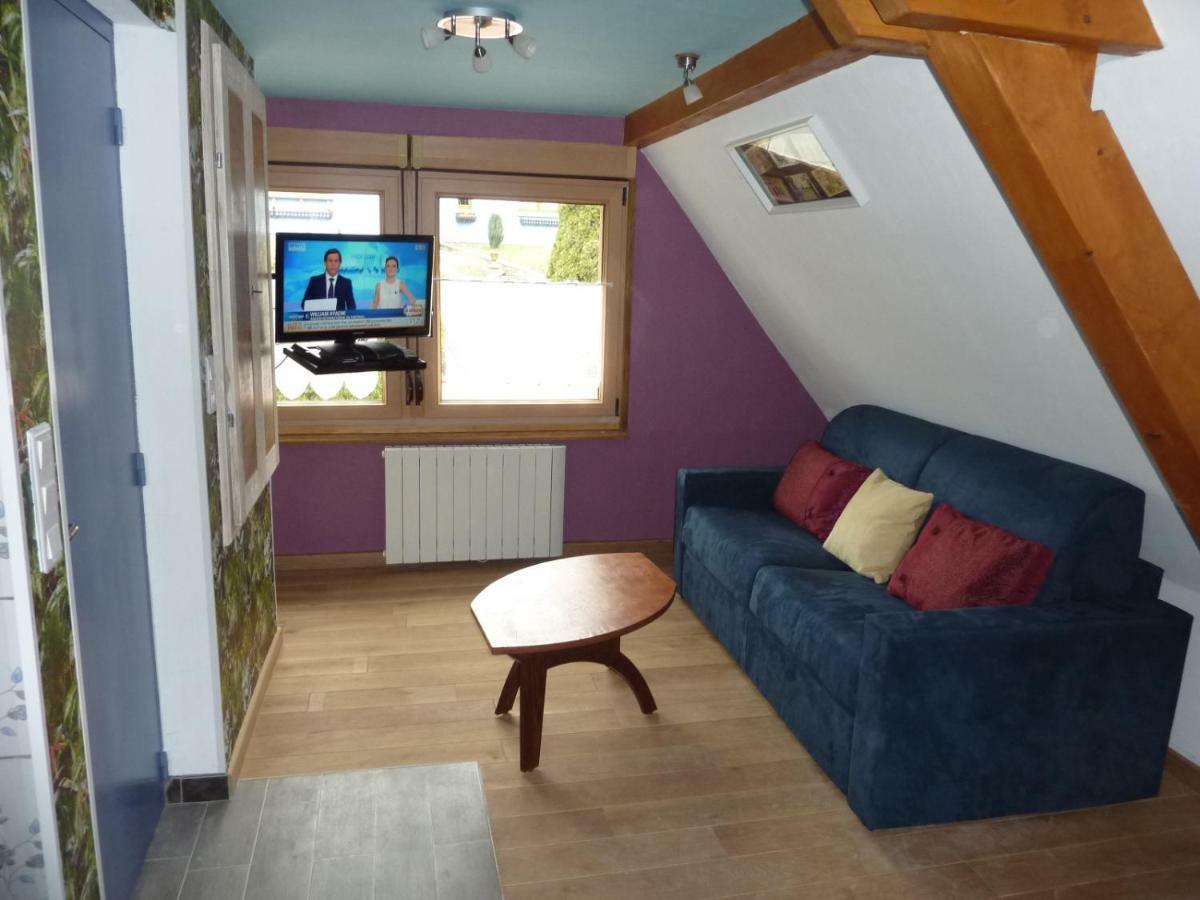 Gite Schlitteur Et Sapiniere Breitenbach Exterior foto